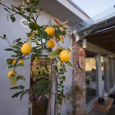 Sinanis Garden House Apartment Volos Exterior photo