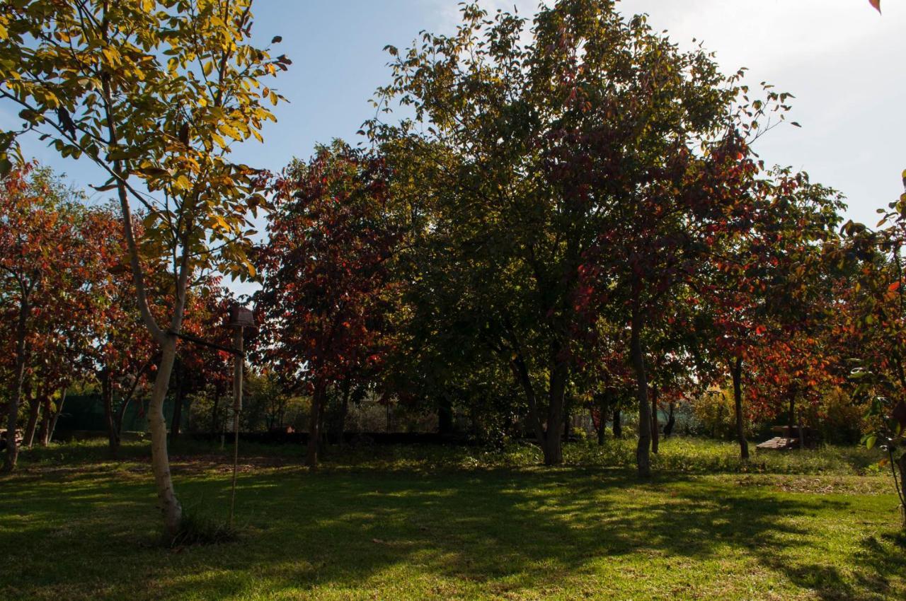 Apartment Sinanis Garden House