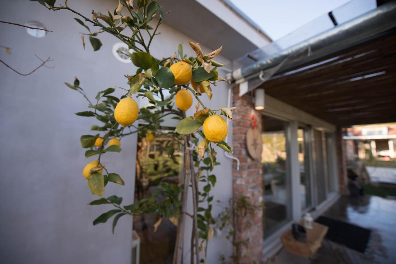 Sinanis Garden House Volos